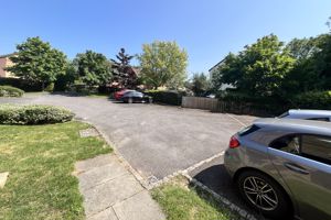 Photo 10- click for photo gallery